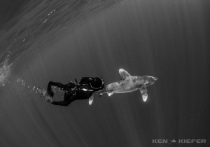 Freediver enjoying her new companion OWT by Ken Kiefer 